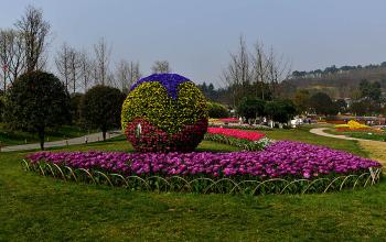 新都漫花山庄拓展基地